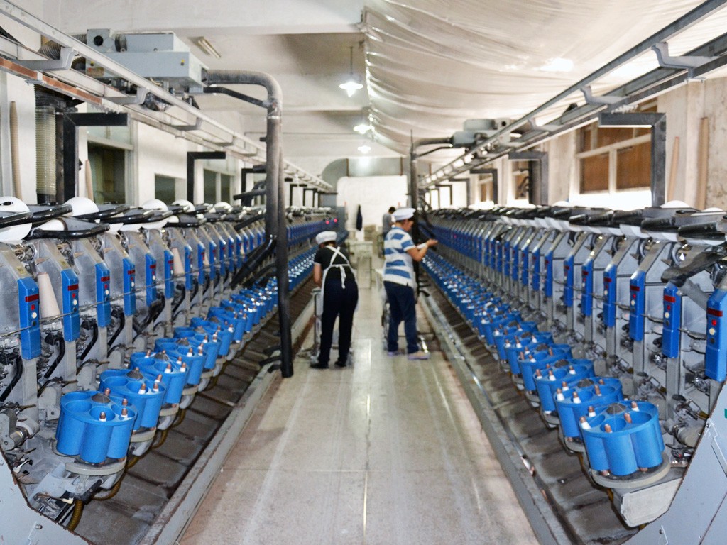 �Զ���Ͳ��